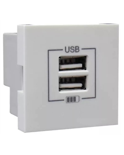 Розетка USB двойная, зарядная, белая (45439 SBR): Розетка USB двойная в Армавире