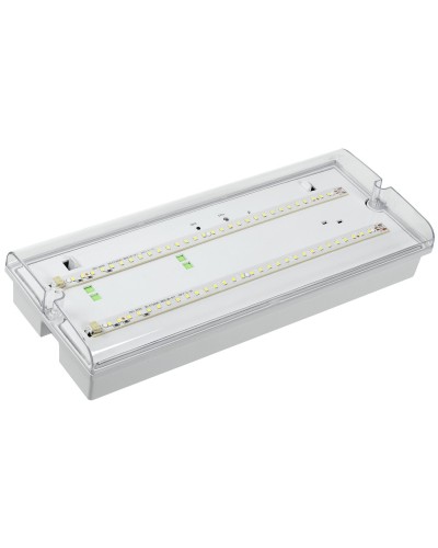 Светильник аварийный ДПА 5042-1 1ч IP65 LIGHTING (LDPA0-5042-1-65-K01). Светильник аварийный универсальный. IEK в Армавире