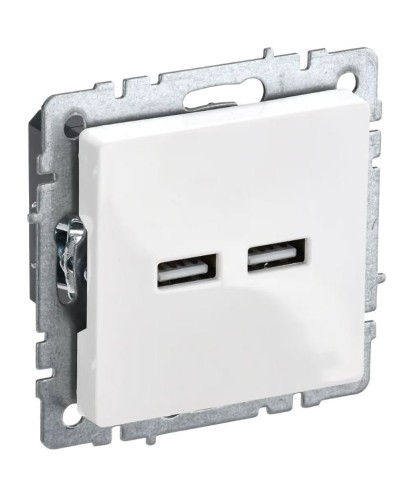 Розетка USB A+A 3,1А РЮ10-1-БрБ белый BRITE (BR-U21-D31-K01). Розетка USB. IEK в Армавире