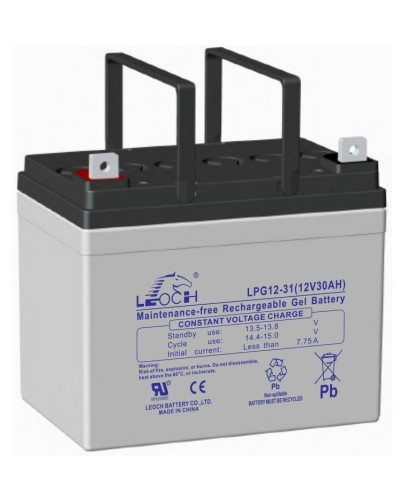LEOCH LPG 12-31. Аккумулятор герметичный свинцово-кислотный. LEOCH в Армавире