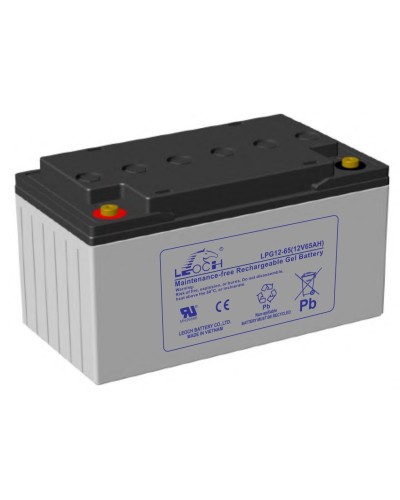 LEOCH LPG 12-65. Аккумулятор герметичный свинцово-кислотный. LEOCH в Армавире