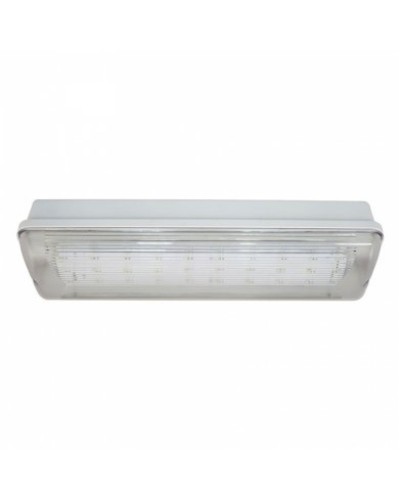 SL-213-30LED1.8 исп. 1 IP65. Светильник аварийного освещения. ИП Раченков А.В. в Армавире